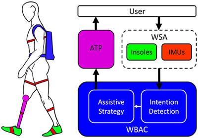 Whole Body Awareness for Controlling a Robotic Transfemoral Prosthesis